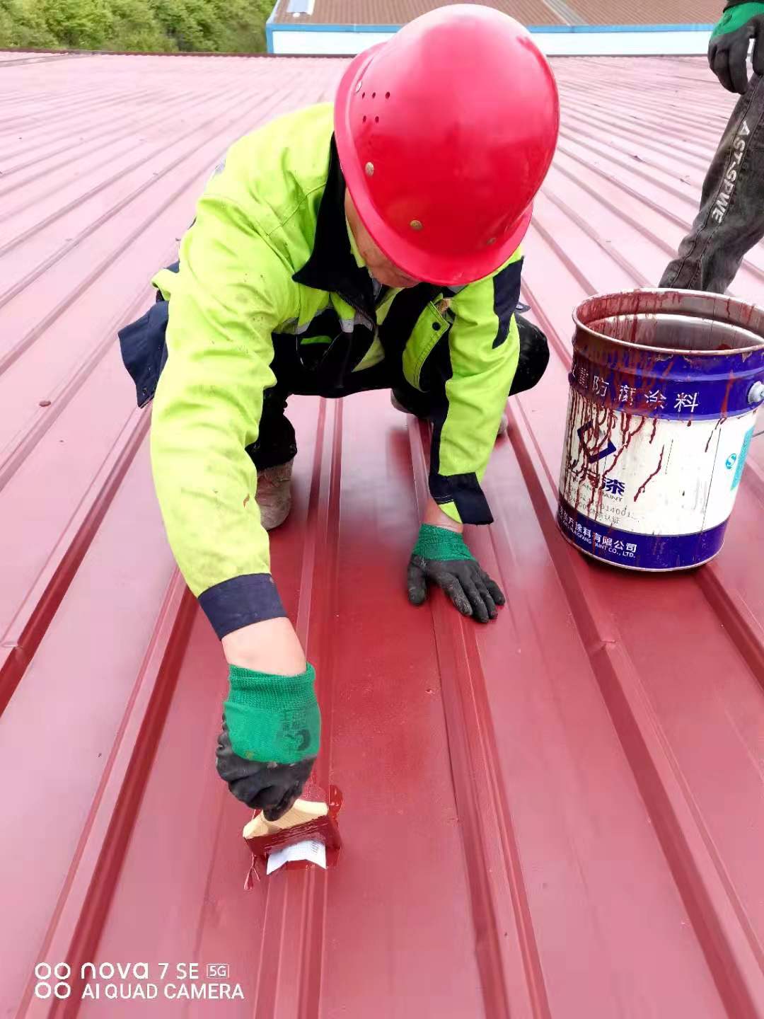 1622086899461300.jpg 屋頂3.jpg