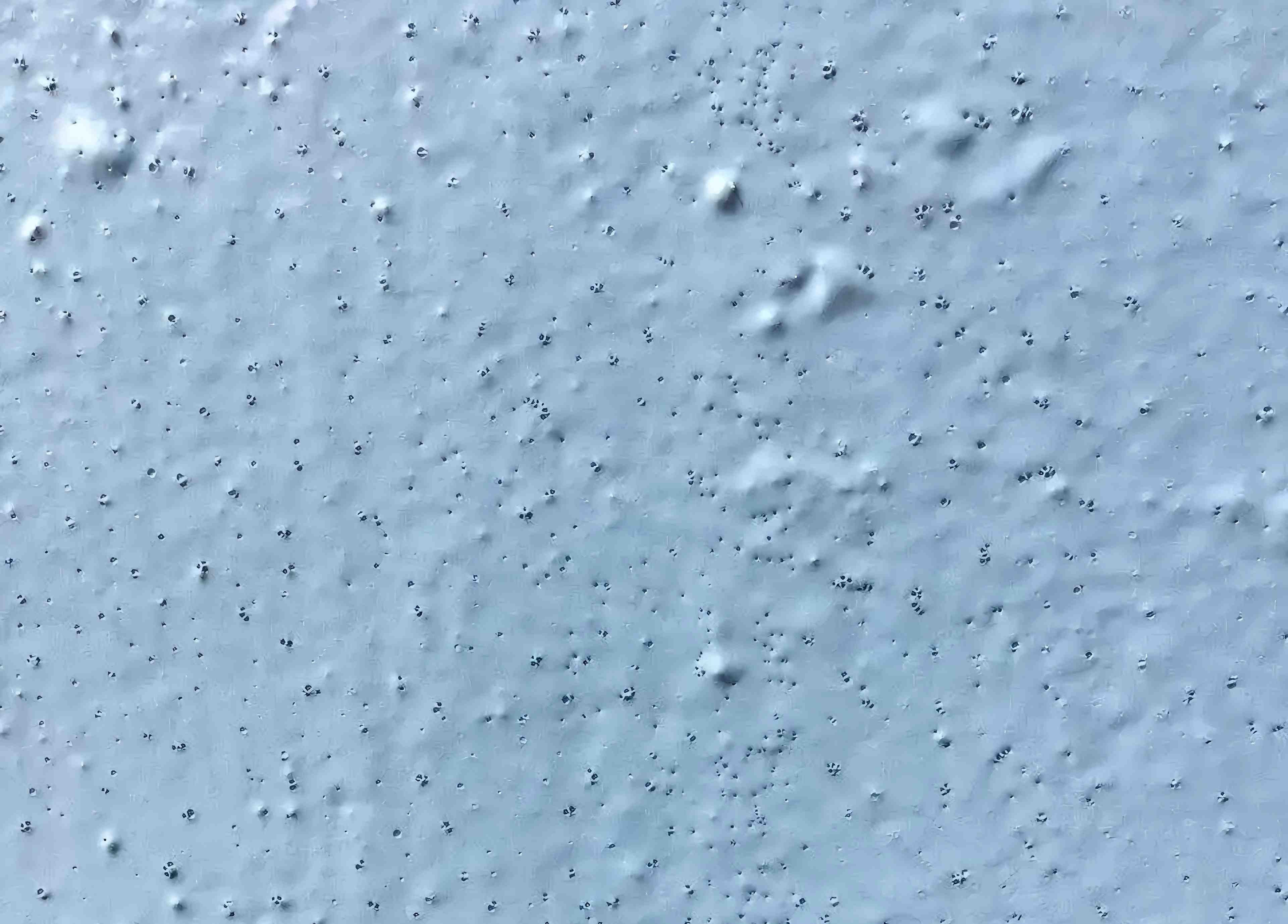 油漆施工缺陷-針孔